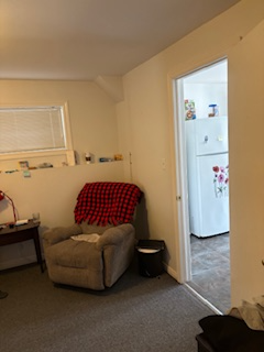 Newmarket 1 BR Walkout Basement Apartment for Rent - Photo 4