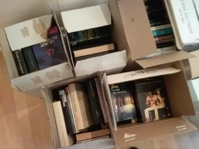 Laval, 250livres à vendre en lot seulement - Photo 3