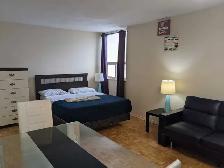 Furnished bachelor studio, walking to Eglinton Station, May 1 - Photo 6