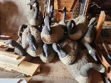 Canada goose decoys