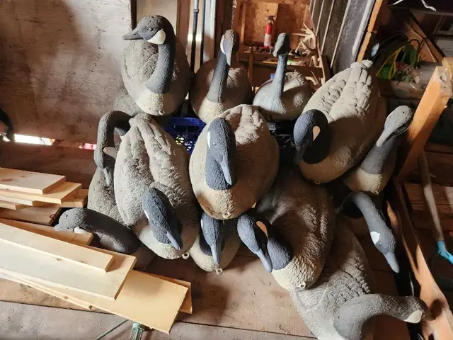 Canada goose decoys - Photo 2