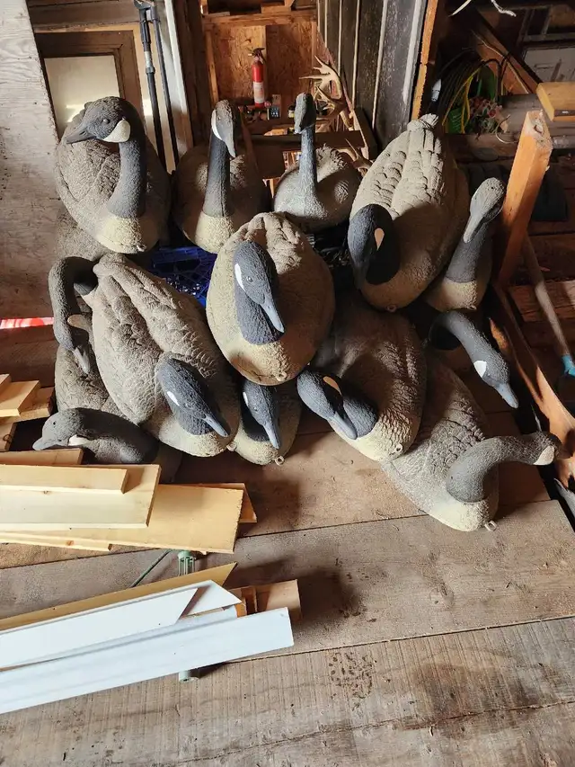 Canada goose decoys - Photo 3