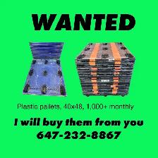 WANTED Plastic Pallets 40x48