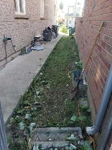 junk removal - Photo 8