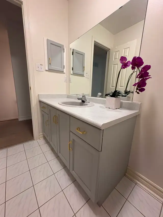 Kitchen Cabinet Painting (Sprayer)