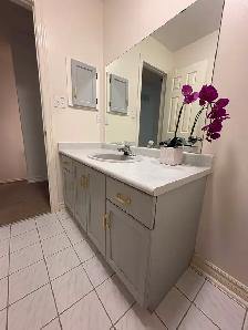 Kitchen Cabinet Painting (Sprayer)