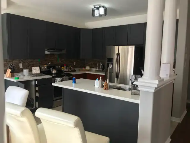 Kitchen Cabinet Painting (Sprayer) - Photo 3