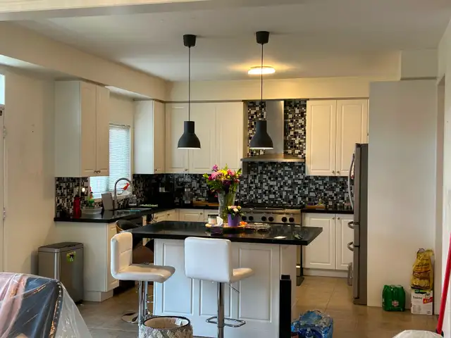 Kitchen Cabinet Painting (Sprayer) - Photo 4