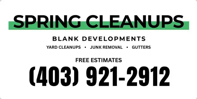 SPRING CLEANUPS – YARD, GUTTERS, JUNK REMOVAL