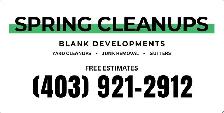 SPRING CLEANUPS – YARD, GUTTERS, JUNK REMOVAL