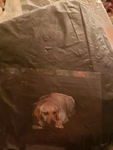 HOUSSE DE VOITURE NOIRE POUR ANIMAL (CHIEN)  FLAMBANT NEUVE!