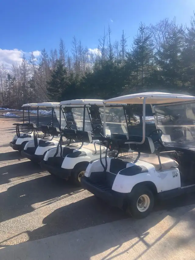 G16 Yamaha Gas Golf Carts - Photo 8