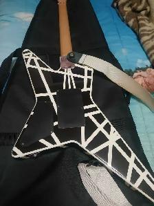 EVH Striped Star   extras! - Photo 2