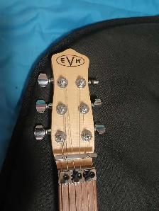 EVH Striped Star   extras! - Photo 3
