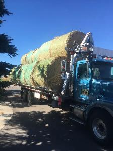 premium hay - Photo 5