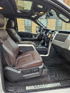 2011 Ford F-150 Platinum 3.5L V6 EcoBoost - Photo 7