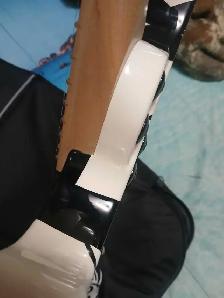 EVH Striped Wolfgang Special - Photo 5