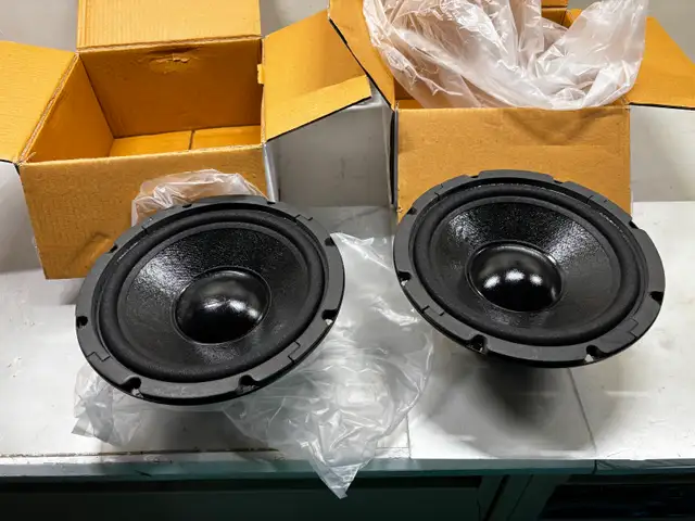 2 subwoofer speakers GOLDW -165 Watt / 8 in / 4 ohm – brand new