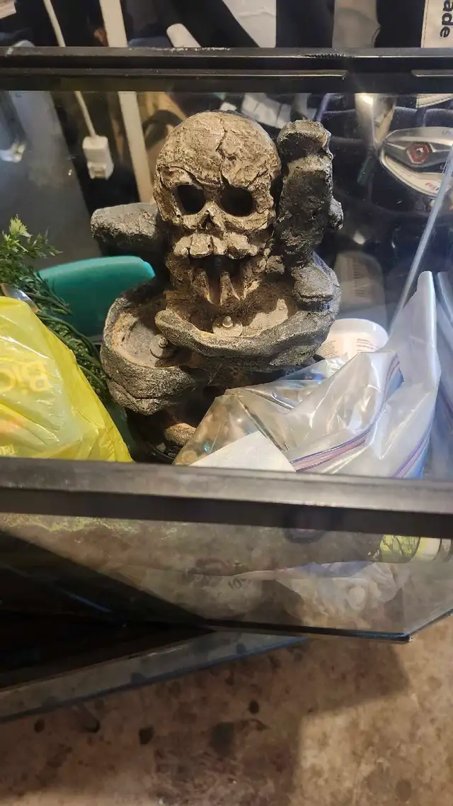 2 aquariums 10 gallon and 20 gallon