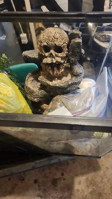 2 aquariums 10 gallon and 20 gallon