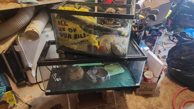 2 aquariums 10 gallon and 20 gallon - Photo 2