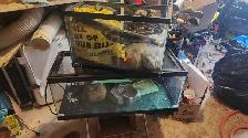 2 aquariums 10 gallon and 20 gallon - Photo 2