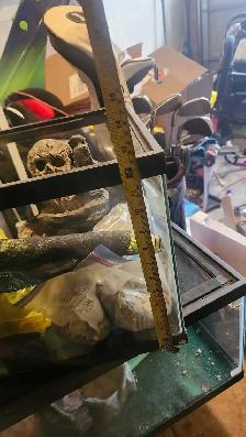 2 aquariums 10 gallon and 20 gallon - Photo 3