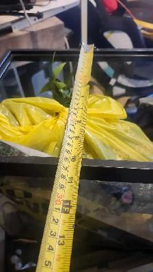 2 aquariums 10 gallon and 20 gallon - Photo 4