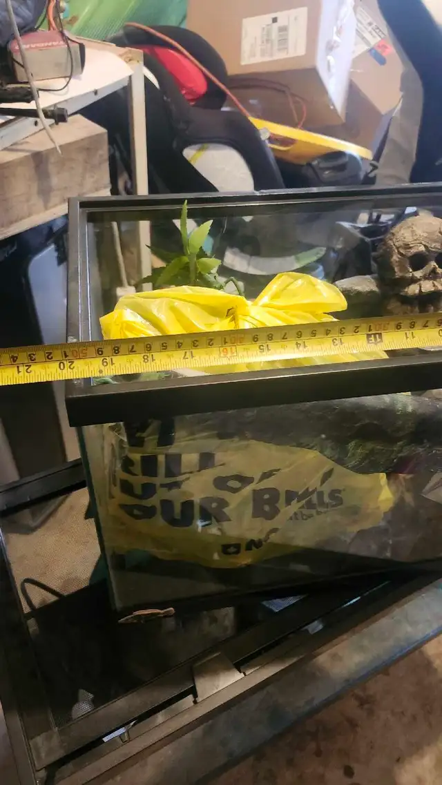 2 aquariums 10 gallon and 20 gallon - Photo 5