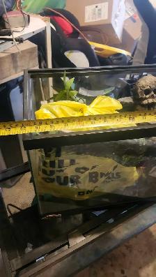 2 aquariums 10 gallon and 20 gallon - Photo 5