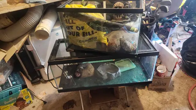 2 aquariums 10 gallon and 20 gallon - Photo 6