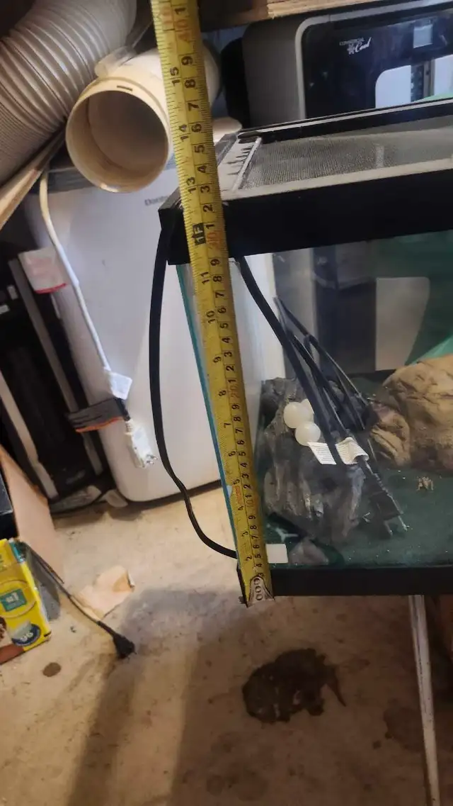 2 aquariums 10 gallon and 20 gallon - Photo 7