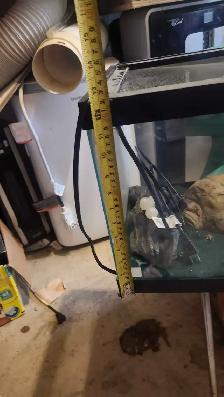 2 aquariums 10 gallon and 20 gallon - Photo 7