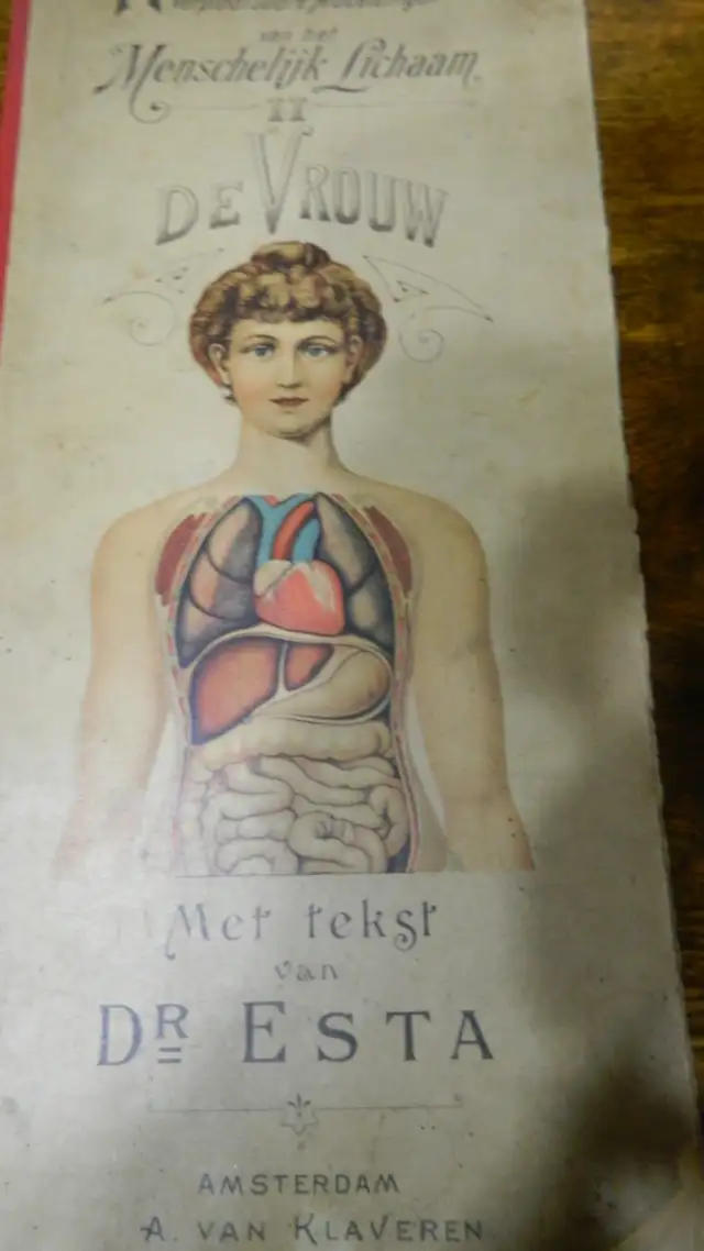 Anatomie  Couleur Antique 1900 Dr.Esta  Cartonné 20 X 8 Pouces