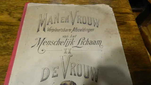 Anatomie  Couleur Antique 1900 Dr.Esta  Cartonné 20 X 8 Pouces - Photo 8