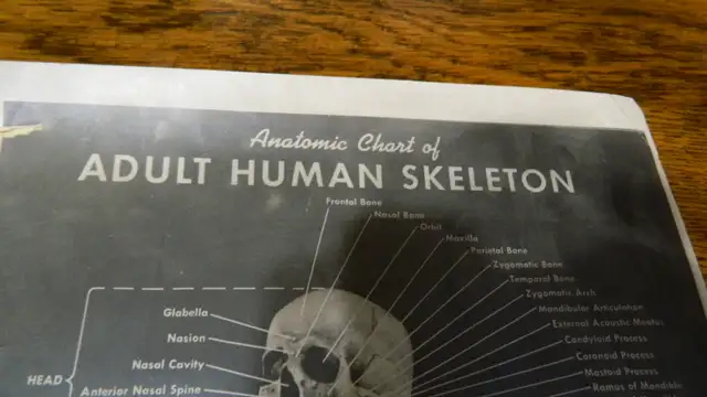 Anatomie  Couleur Antique 1900 Dr.Esta  Cartonné 20 X 8 Pouces - Photo 10
