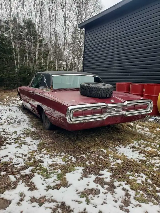 Thunderbird Landau for sale! - Photo 2