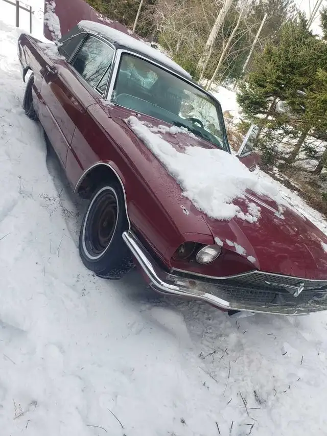 Thunderbird Landau for sale! - Photo 3