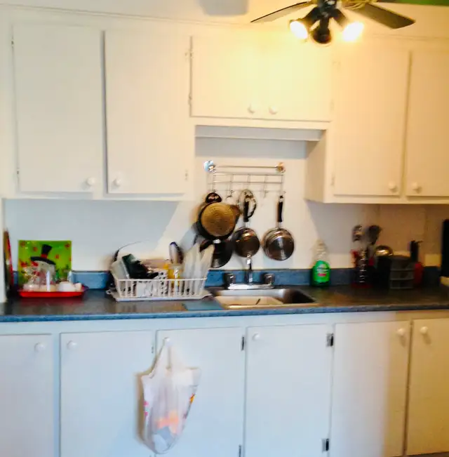 3 1/2 Saint-Lambert PRÈS METRO et REM PANAMA - Photo 5