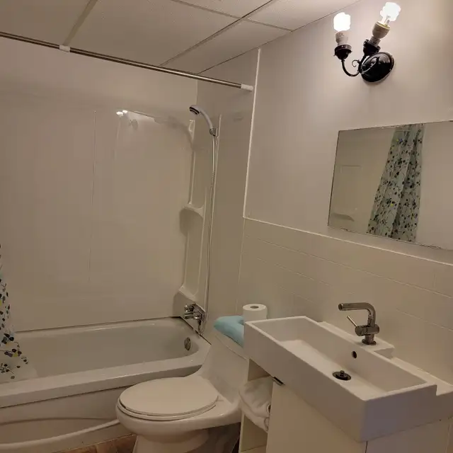 Furnished Large bachelor-All Utilities are included-Pet friendly - Photo 7