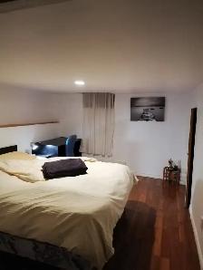 Belle chambre très confortable et calme à 5 min du M° Rosemont - Photo 4