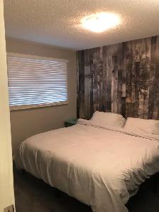 Renovated 2 bed 2 bath 4plex w/ Balcony - Killarney - Now $1995! - Photo 4