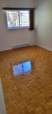 Gorgeous Two Bedroom Apartment Available  May 1st - Photo 6