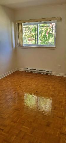 Gorgeous Two Bedroom Apartment Available  May 1st - Photo 8