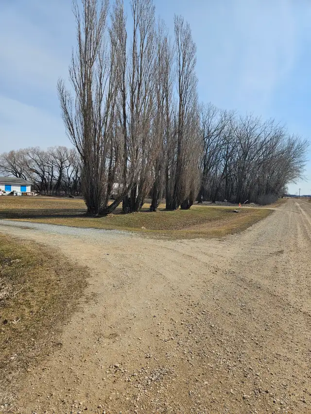 Residential land on highway #1 for sale has 2 buildings on it - Photo 10