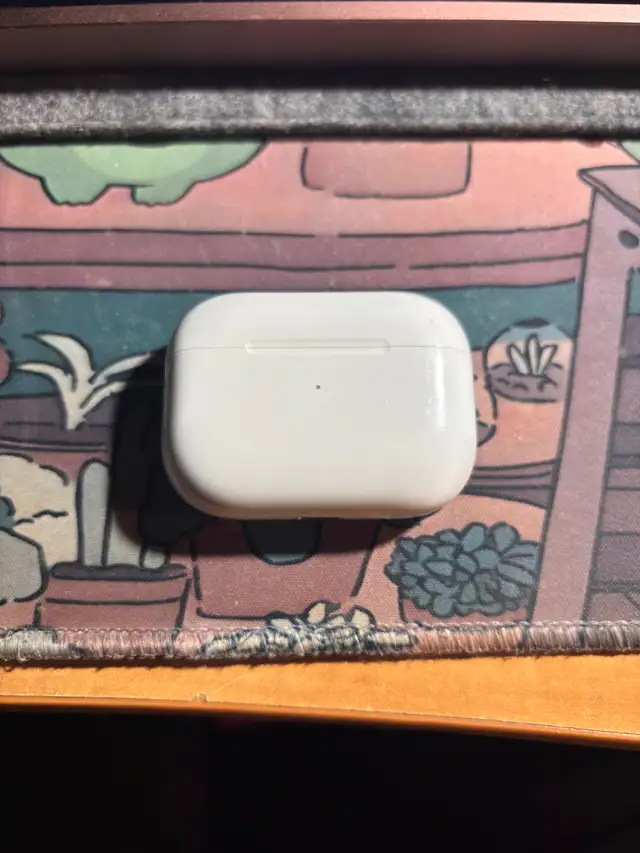 AirPods Pro 2nd Gen USB C (USED)
