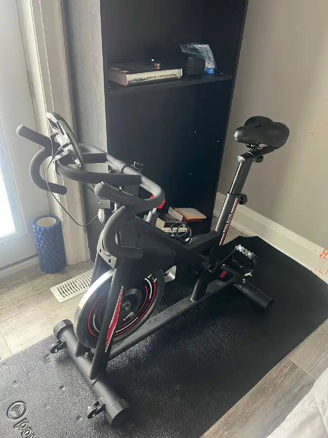 DIWANGUS Exercise Bike