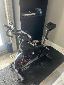 DIWANGUS Exercise Bike