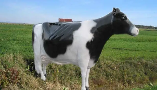 Animaux en résine grandeur nature (vache, cheval, poney)