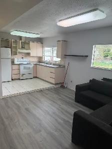 2 bedroom basement Richmond